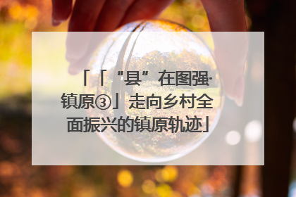 「“县”在图强·镇原③」走向乡村全面振兴的镇原轨迹