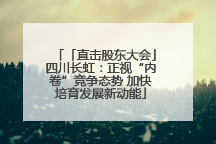 「直击股东大会」四川长虹：正视“内卷”竞争态势 加快培育发展新动能