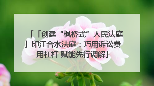 「创建“枫桥式”人民法庭」印江合水法庭：巧用诉讼费用杠杆 赋能先行调解