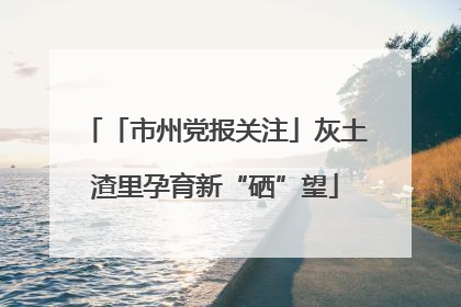 「市州党报关注」灰土渣里孕育新“硒”望