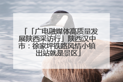 「广电融媒体高质量发展陕西采访行」陕西汉中市：徐家坪铁路风情小镇 出站就是景区