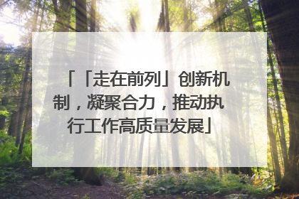 「走在前列」创新机制，凝聚合力，推动执行工作高质量发展