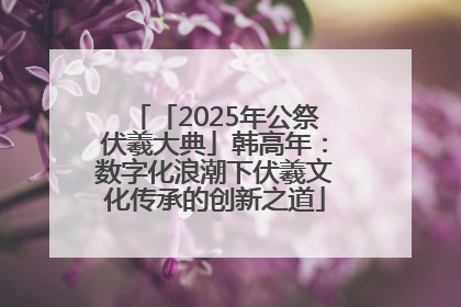 「2025年公祭伏羲大典」韩高年：数字化浪潮下伏羲文化传承的创新之道