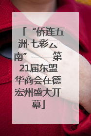 “侨连五洲·七彩云南”——第21届东盟华商会在德宏州盛大开幕