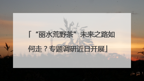 “丽水荒野茶”未来之路如何走？专题调研近日开展