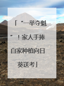 “一举夺魁”！家人手捧自家种植向日葵送考