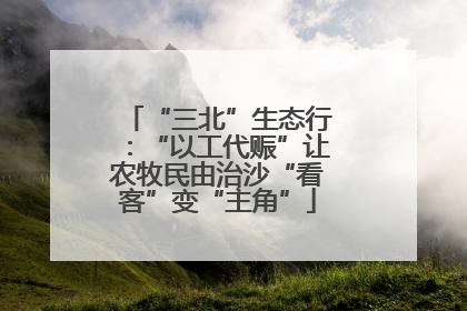 “三北”生态行：“以工代赈”让农牧民由治沙“看客”变“主角”