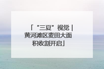 “三夏”视觉｜黄河滩区麦田大面积收割开启