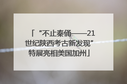 “不止秦俑——21世纪陕西考古新发现”特展亮相美国加州