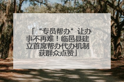 “专员帮办”让办事不再难！临邑县建立首席帮办代办机制获群众点赞