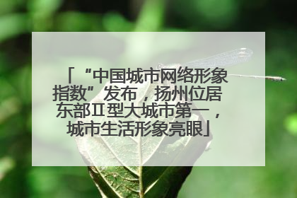 “中国城市网络形象指数”发布，扬州位居东部Ⅱ型大城市第一，城市生活形象亮眼