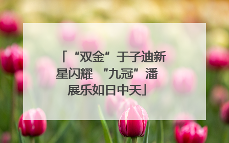 “双金”于子迪新星闪耀 “九冠”潘展乐如日中天