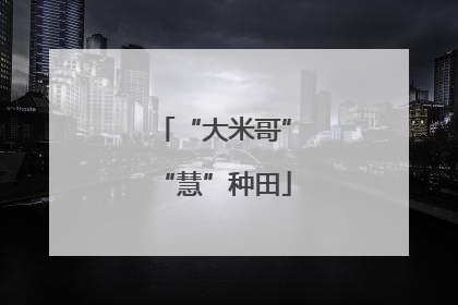 “大米哥”“慧”种田