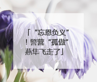 “忘恩负义”！警营“孤傲”燕隼飞走了
