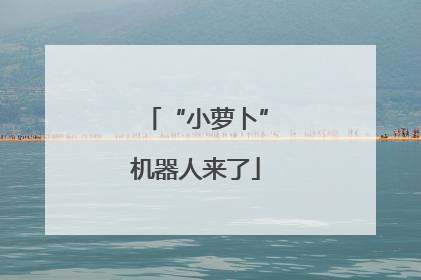 “小萝卜”机器人来了