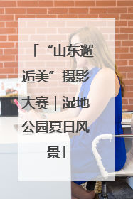 “山东邂逅美”摄影大赛｜湿地公园夏日风景