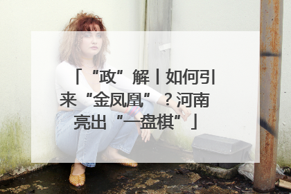 “政”解丨如何引来“金凤凰”？河南亮出“一盘棋”