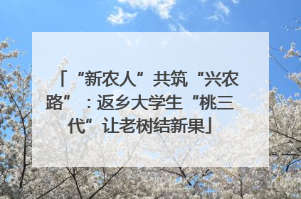 “新农人”共筑“兴农路”：返乡大学生“桃三代”让老树结新果