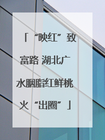 “映红”致富路 湖北广水胭脂红鲜桃火“出圈”