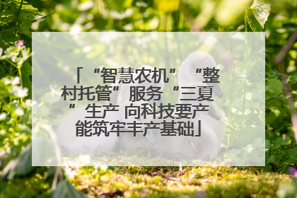 “智慧农机”“整村托管”服务“三夏”生产 向科技要产能筑牢丰产基础