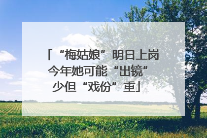 “梅姑娘”明日上岗 今年她可能“出镜”少但“戏份”重
