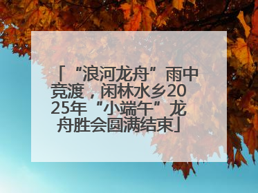 “浪河龙舟”雨中竞渡，闲林水乡2025年“小端午”龙舟胜会圆满结束