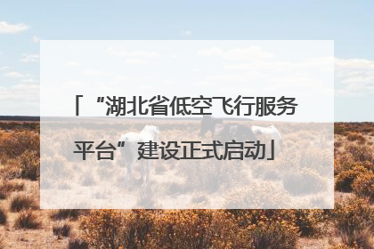 “湖北省低空飞行服务平台”建设正式启动