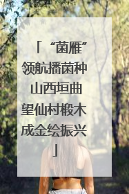 “菌雁”领航播菌种 山西垣曲望仙村椴木成金绘振兴