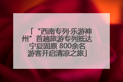 “西南专列·乐游神州”首趟旅游专列抵达宁夏固原 800余名游客开启清凉之旅