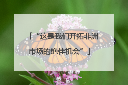 “这是我们开拓非洲市场的绝佳机会”