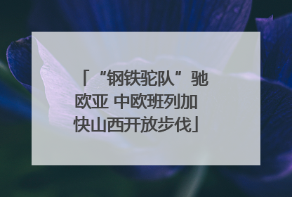 “钢铁驼队”驰欧亚 中欧班列加快山西开放步伐