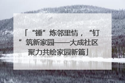 “锤”炼邻里情，“钉”筑新家园——大成社区聚力共绘家园新篇