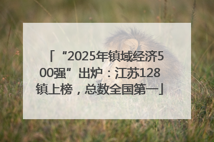 “2025年镇域经济500强”出炉：江苏128镇上榜，总数全国第一