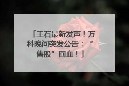 王石最新发声！万科晚间突发公告：“售股”回血！