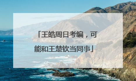 王皓周日考编，可能和王楚钦当同事