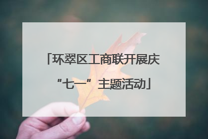 环翠区工商联开展庆“七一”主题活动
