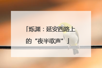 烁渊：延安西路上的“夜半歌声”