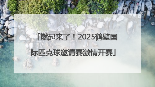 燃起来了！2025鹤壁国际匹克球邀请赛激情开赛
