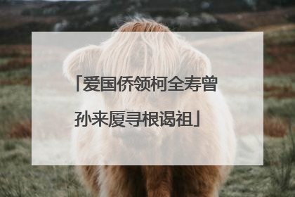 爱国侨领柯全寿曾孙来厦寻根谒祖