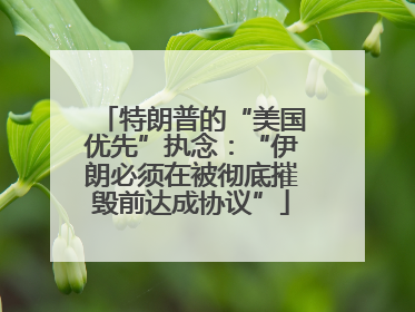 特朗普的“美国优先”执念：“伊朗必须在被彻底摧毁前达成协议”