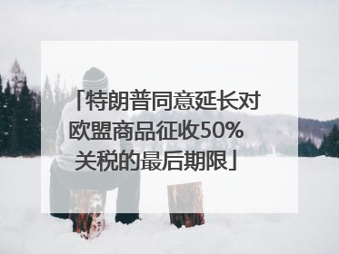 特朗普同意延长对欧盟商品征收50%关税的最后期限