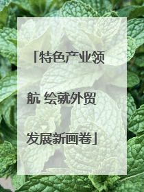 特色产业领航 绘就外贸发展新画卷