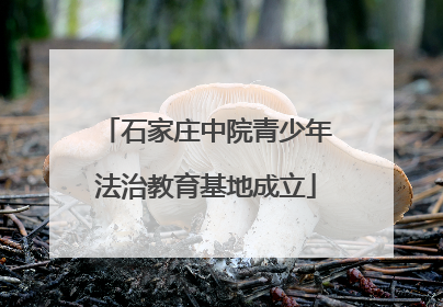 石家庄中院青少年法治教育基地成立