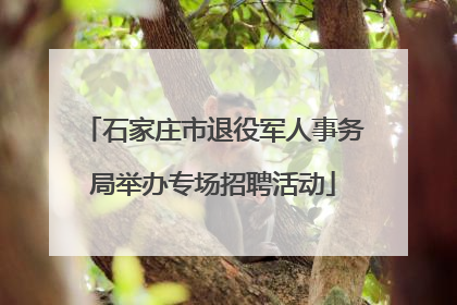 石家庄市退役军人事务局举办专场招聘活动