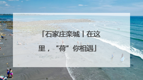 石家庄栾城丨在这里，“荷”你相遇