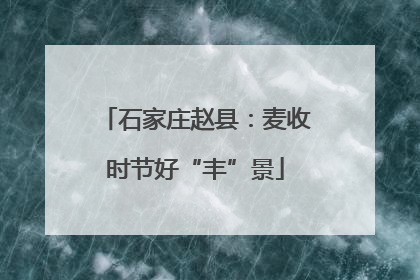 石家庄赵县：麦收时节好“丰”景