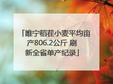 睢宁稻茬小麦平均亩产806.2公斤 刷新全省单产纪录