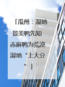 瓜州：湿地景美鸭先知 赤麻鸭为荒漠湿地“上大分”