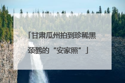 甘肃瓜州拍到珍稀黑颈鹤的“安家照”