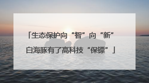 生态保护向“智”向“新” 白海豚有了高科技“保镖”